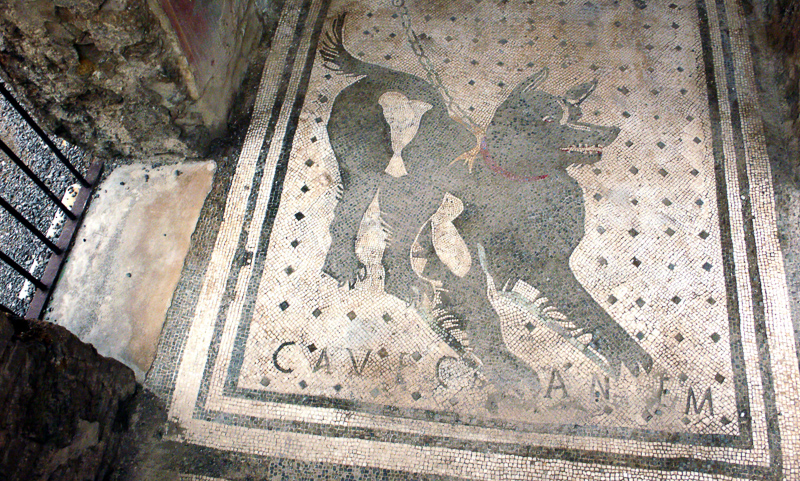 Cave-canem.jpg