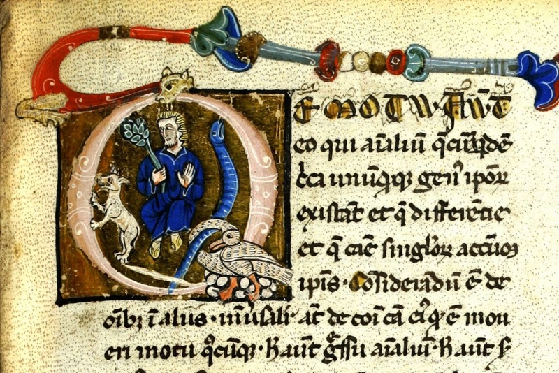 Archivo:Obra.jpg
