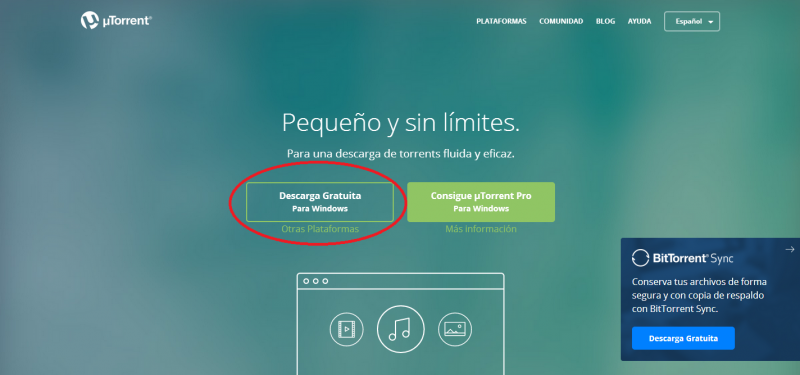 Archivo:Sin-título4.png