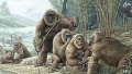 Miniatura de la versión de 18:13 15 feb 2021